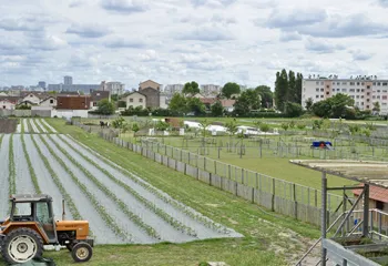 Groof agriculture urbaine