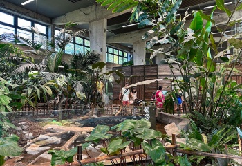 jungle intérieure zoo lyon