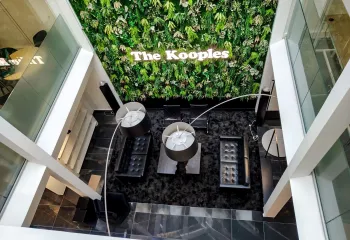 Focus projet : le végétal s'invite au siège de The Kooples