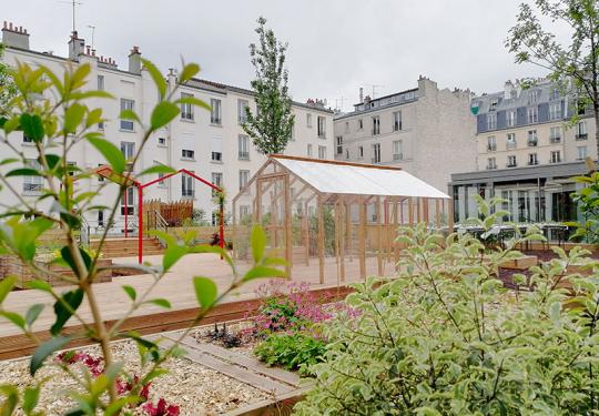 création d'un jardin potager en rooftop