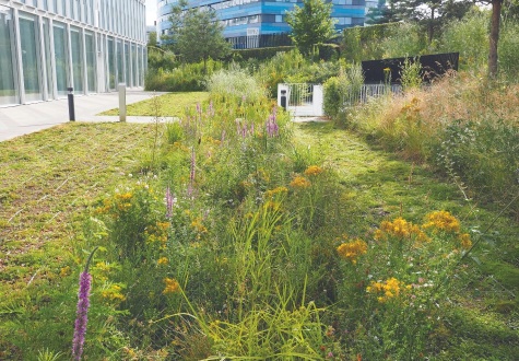 Ecologie et Biodiversité au Bureau d'Etudes de Gally