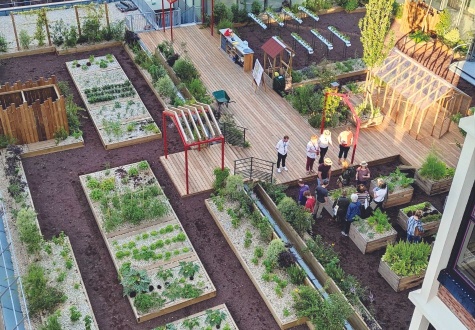 Agriculture urbaine Bureau d'études de gally