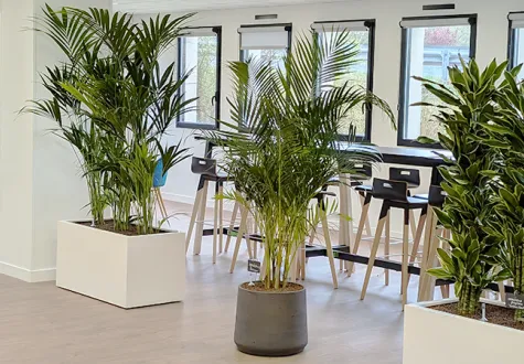 Agence paysagiste Rennes