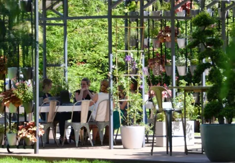 plantes d'exterieur
