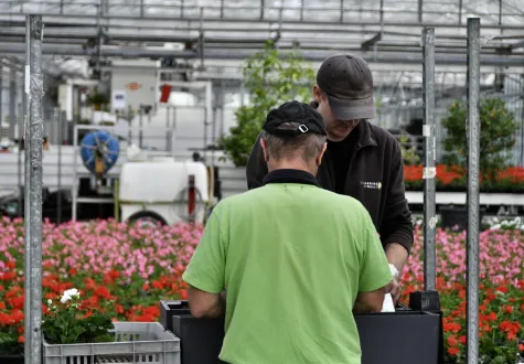 Les jardins de Gally s'engage