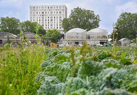 agence de jardiniers et paysagistes en seine saint denis