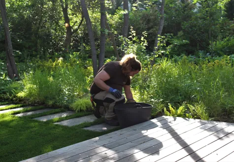 Entretien écologique de jardins