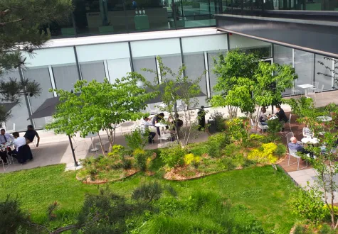végétalisation des espaces de travail
